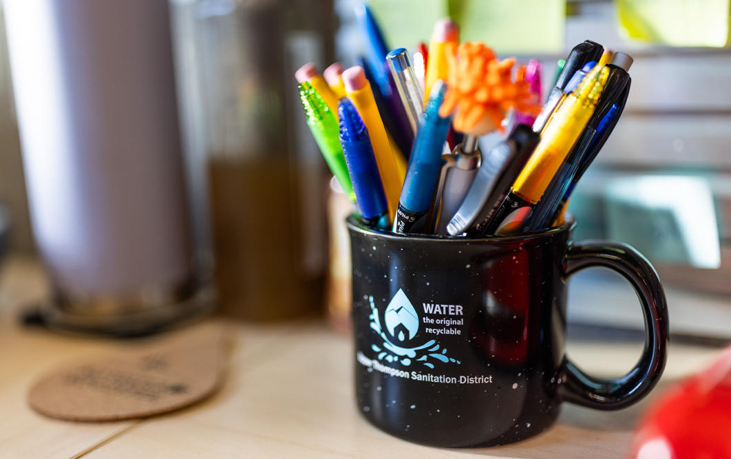 Customer Paying Online Using a Credit Card